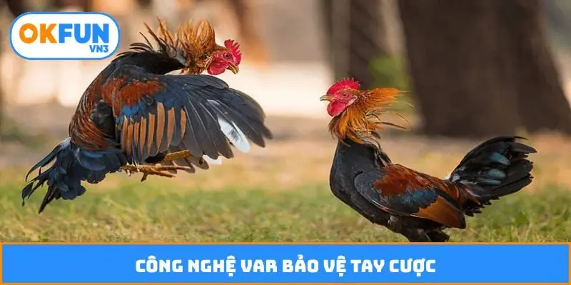 Công nghệ VAR bảo vệ tay cược