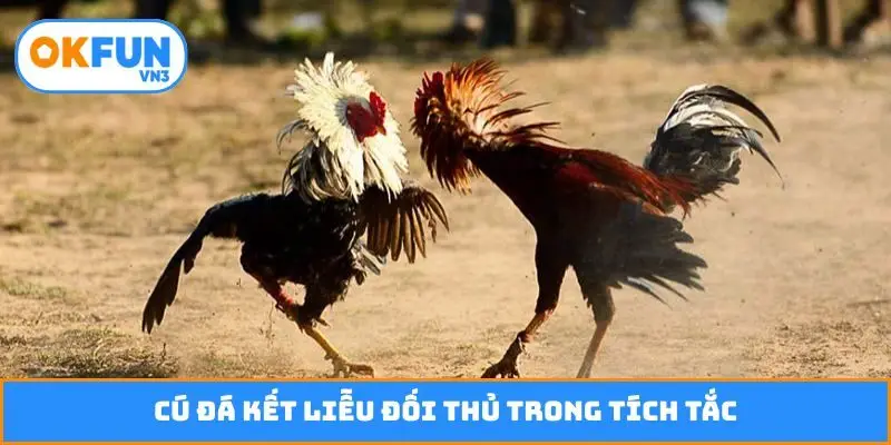 Cú đá kết liễu đối thủ trong tích tắc