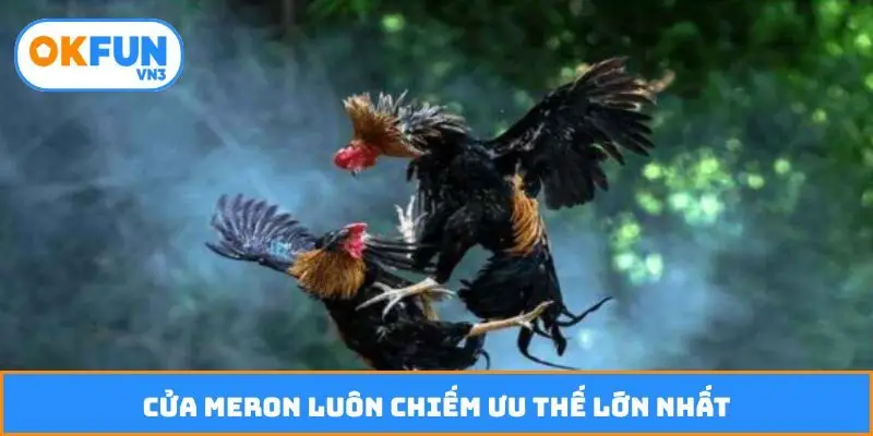 Cửa Meron luôn chiếm ưu thế lớn nhất