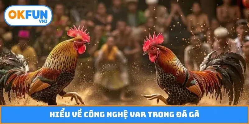 Hiểu về công nghệ VAR trong đá gà