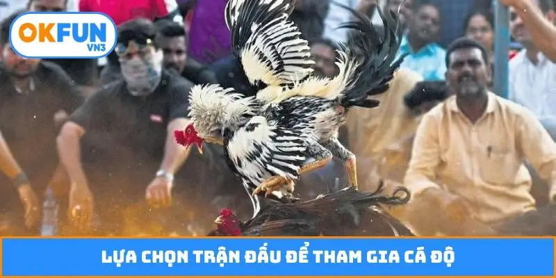 Lựa chọn trận đấu để tham gia cá độ