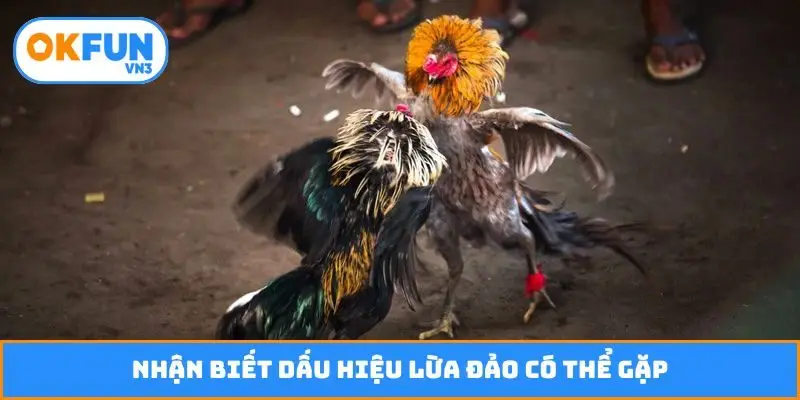 Nhận biết dấu hiệu lừa đảo có thể gặp