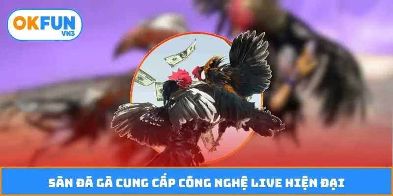 Sàn đá gà cung cấp công nghệ live hiện đại