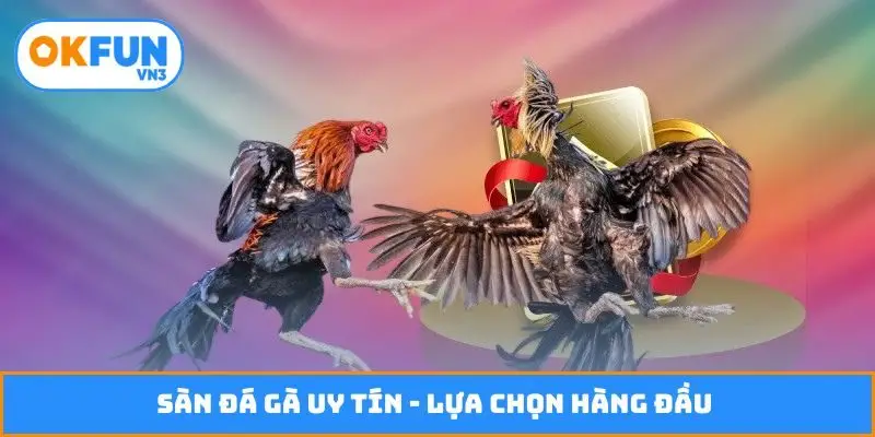 Sàn đá gà uy tín