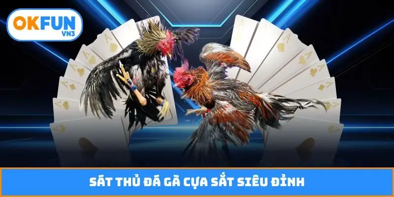 Sát thủ đá gà cựa sắt siêu đỉnh