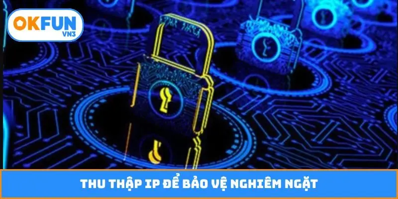 Thu thập IP để bảo vệ nghiêm ngặt