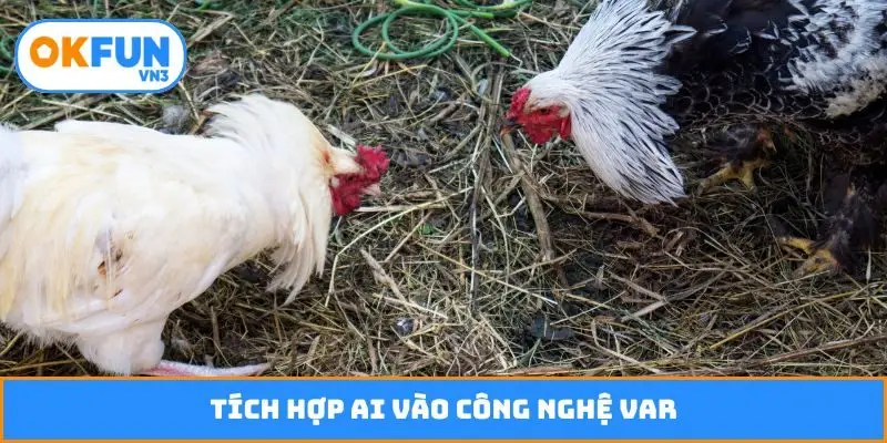 Tích hợp AI vào công nghệ VAR